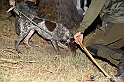 VBS_6448 - Inaugurazione Stagione 2022-23 Simulazione Ricerca Tartufo